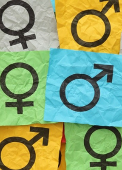 Gender Equity