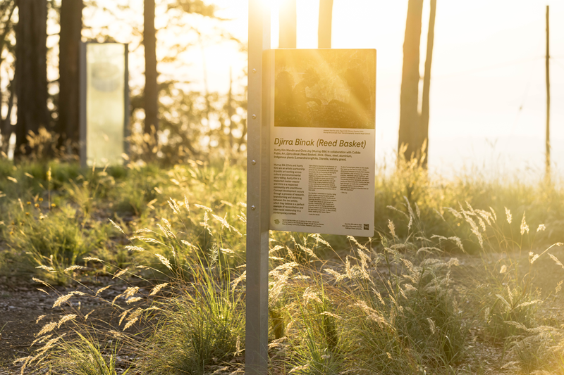 Sign in the woodland