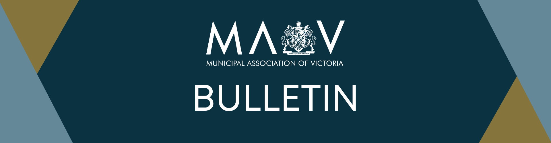 MAV Bulletin Image