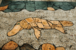 Platypus Art