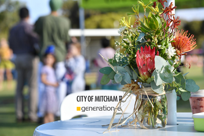 City of Mitcham and Generation-e