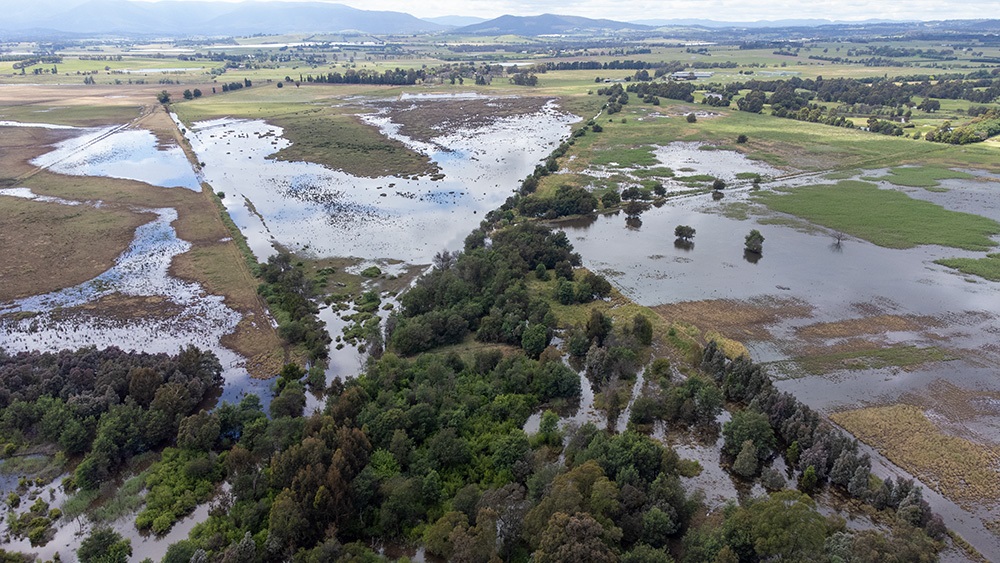 Yering Billabongs - flooded area back in 2022
