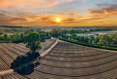 View over fields in Moorabool Shire at sunset
